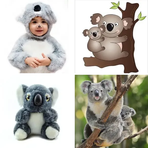 4 images 1 mot 5 lettres : solution KOALA