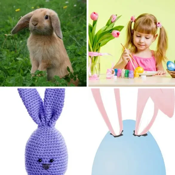 4 images 1 mot 5 lettres : solution LAPIN