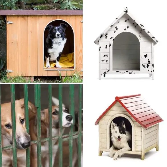 4 images 1 mot 5 lettres : solution NICHE