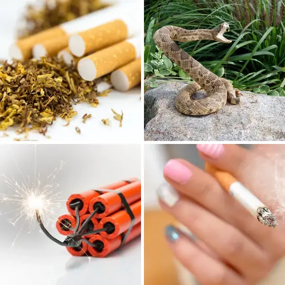 4 images 1 mot 5 lettres : solution NOCIF