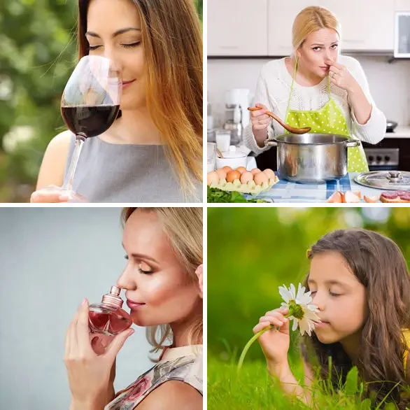 4 images 1 mot 5 lettres : solution ODEUR