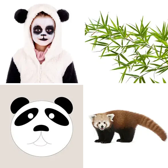 4 images 1 mot 5 lettres : solution PANDA