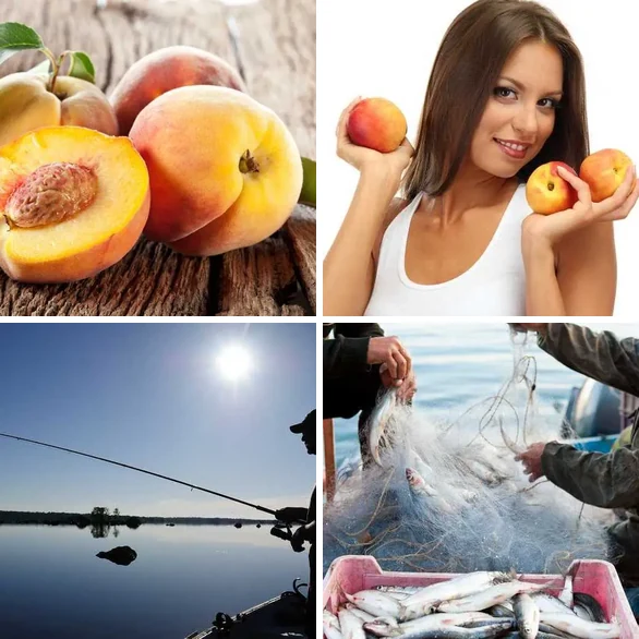 4 images 1 mot 5 lettres : solution PECHE