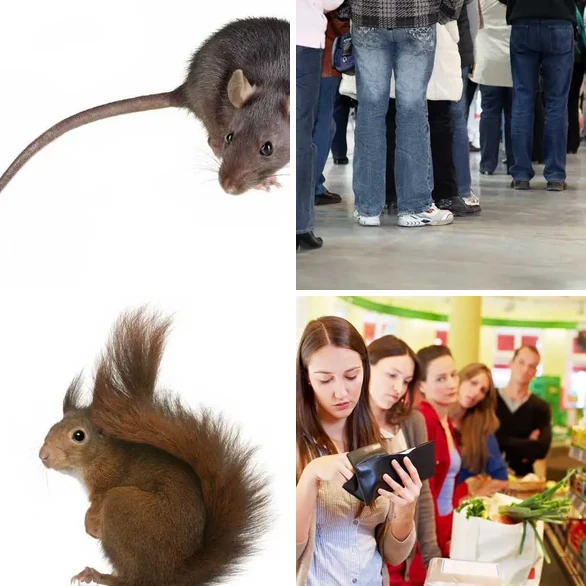4 images 1 mot 5 lettres : solution QUEUE