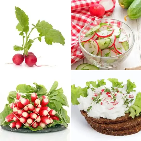 4 images 1 mot 5 lettres : solution RADIS