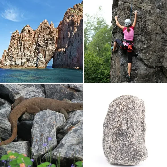 4 images 1 mot 5 lettres : solution ROCHE