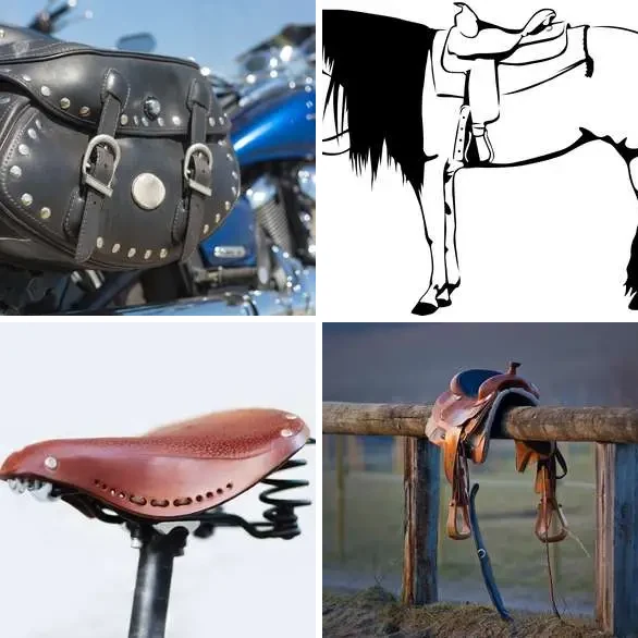 4 images 1 mot 5 lettres : solution SELLE