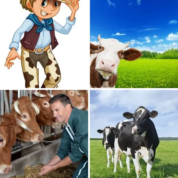 4 images 1 mot 5 lettres : solution VACHE