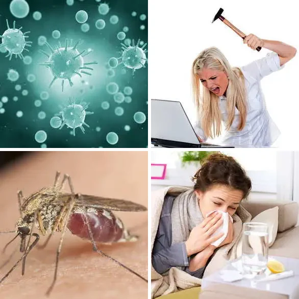 4 images 1 mot 5 lettres : solution VIRUS