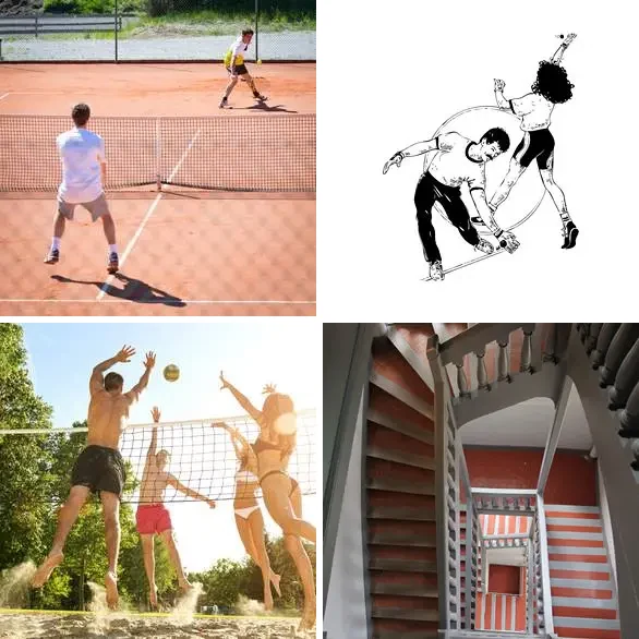 4 images 1 mot 5 lettres : solution VOLEE