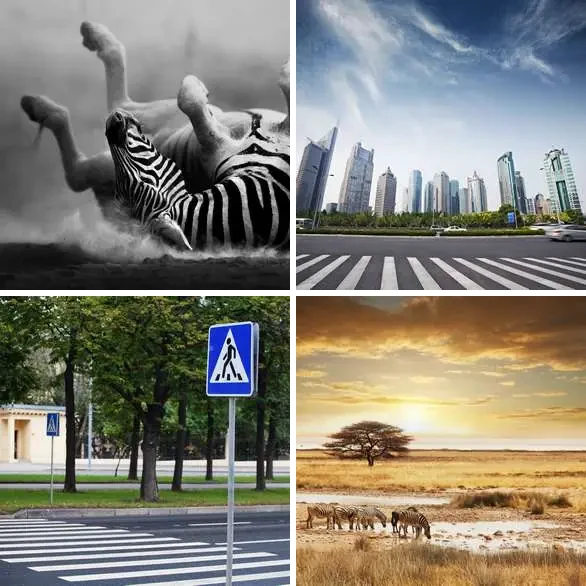 4 images 1 mot 5 lettres : solution ZEBRE