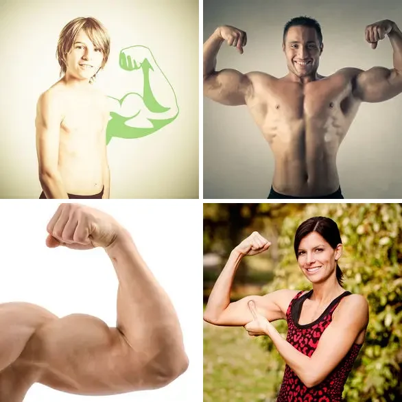 4 Images 1 Mot 6 lettres – BICEPS – niveau 1550 4 images 1 mot 6 lettres : solution BICEPS
