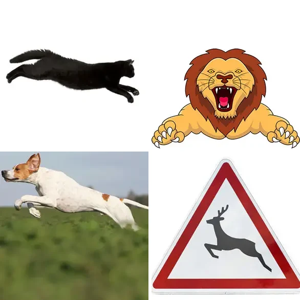 4 Images 1 Mot 6 lettres – BONDIR – niveau 1351 4 images 1 mot 6 lettres : solution BONDIR