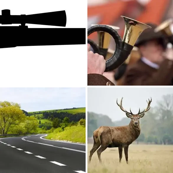 4 Images 1 Mot 6 lettres – CHASSE – niveau 331 4 images 1 mot 6 lettres : solution CHASSE