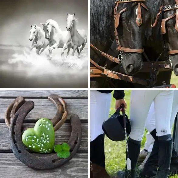 4 Images 1 Mot 6 lettres – CHEVAL – niveau 324 4 images 1 mot 6 lettres : solution CHEVAL