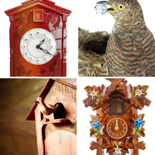4 Images 1 Mot 6 lettres – COUCOU – niveau 744 4 images 1 mot 6 lettres : solution COUCOU