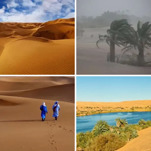 4 Images 1 Mot 6 lettres – DESERT – niveau 224 4 images 1 mot 6 lettres : solution DESERT