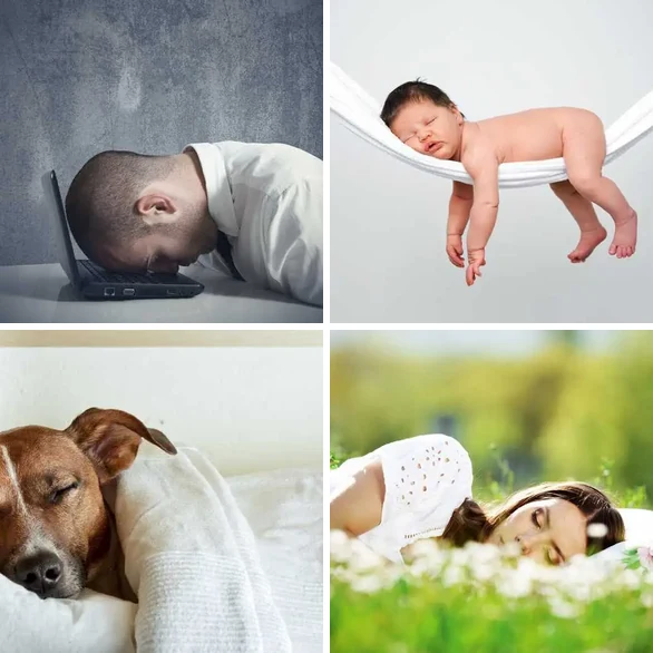 4 Images 1 Mot 6 lettres – DORMIR – niveau 138 4 images 1 mot 6 lettres : solution DORMIR