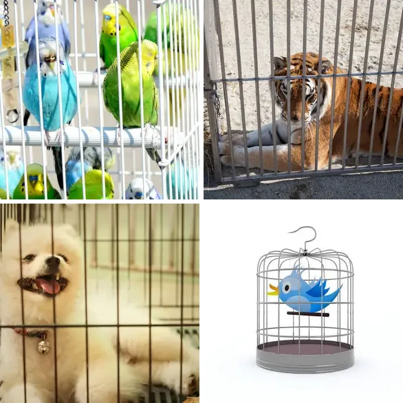 4 Images 1 Mot 6 lettres – ENCAGE – niveau 1586 4 images 1 mot 6 lettres : solution ENCAGE