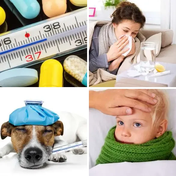 4 Images 1 Mot 6 lettres – FIEVRE – niveau 526 4 images 1 mot 6 lettres : solution FIEVRE