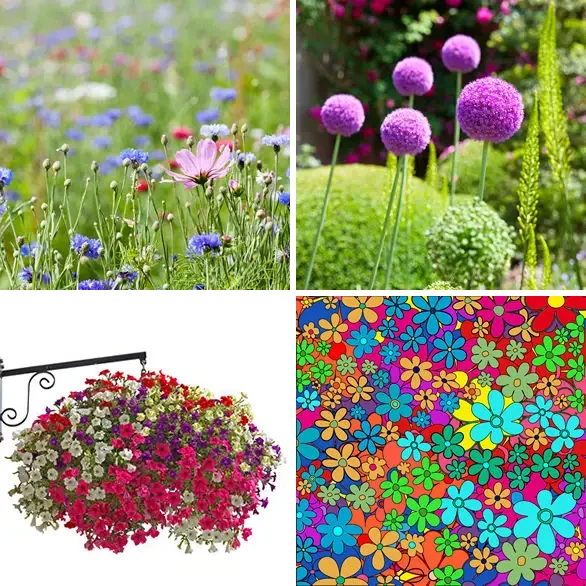 4 Images 1 Mot 6 lettres – FLEURI – niveau 1376 4 images 1 mot 6 lettres : solution FLEURI