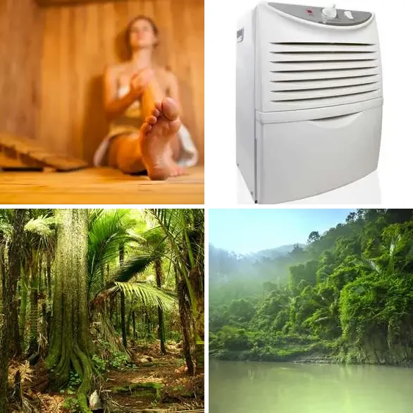 4 Images 1 Mot 6 lettres – HUMIDE – niveau 645 4 images 1 mot 6 lettres : solution HUMIDE