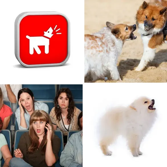 4 Images 1 Mot 6 lettres – JAPPER – niveau 1577 4 images 1 mot 6 lettres : solution JAPPER