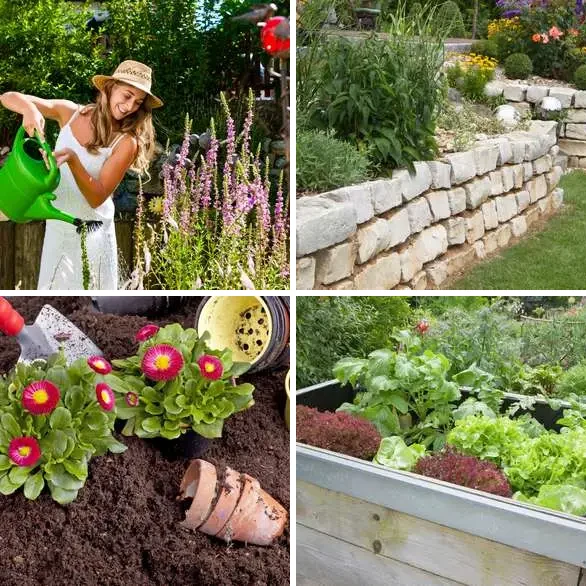 4 Images 1 Mot 6 lettres – JARDIN – niveau 318 4 images 1 mot 6 lettres : solution JARDIN