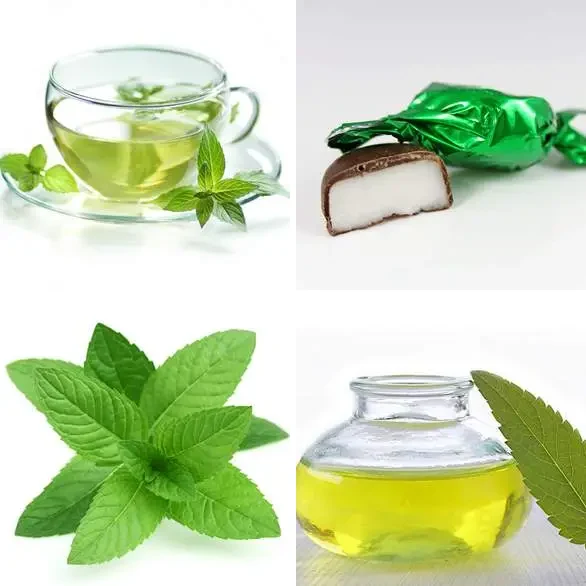 4 Images 1 Mot 6 lettres – MENTHE – niveau 1172 4 images 1 mot 6 lettres : solution MENTHE