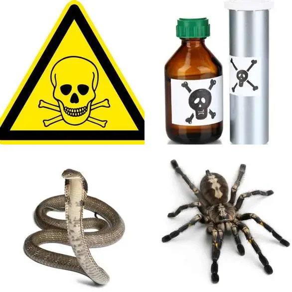 4 Images 1 Mot 6 lettres – MORTEL – niveau 498 4 images 1 mot 6 lettres : solution MORTEL