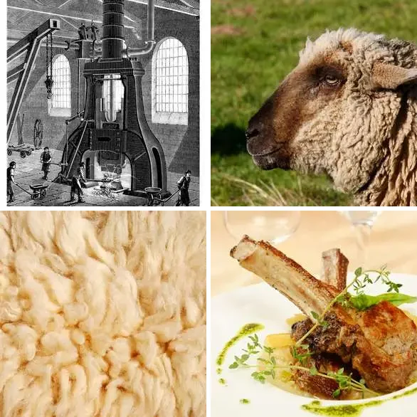 4 Images 1 Mot 6 lettres – MOUTON – niveau 410 4 images 1 mot 6 lettres : solution MOUTON
