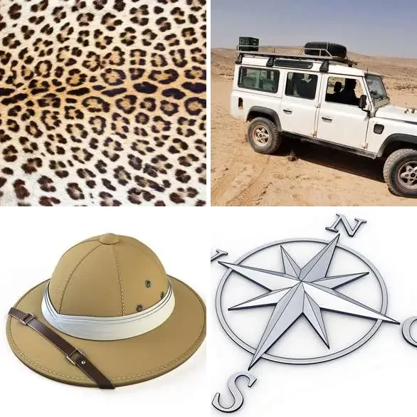 4 Images 1 Mot 6 lettres – SAFARI – niveau 456 4 images 1 mot 6 lettres : solution SAFARI
