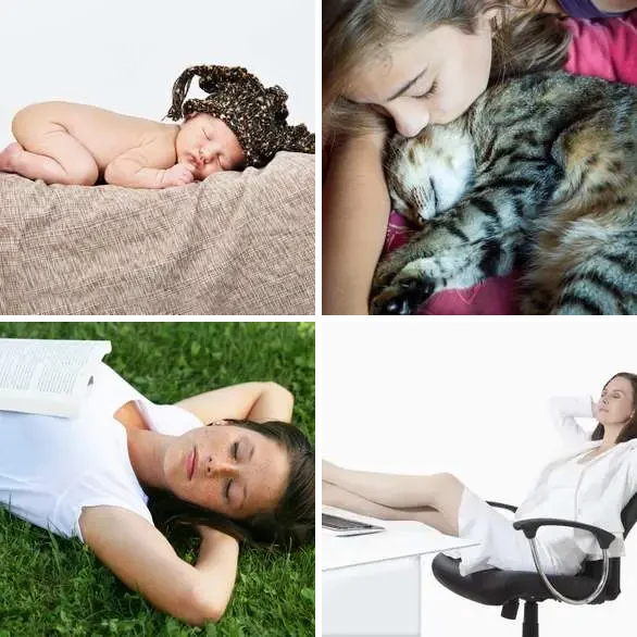 4 Images 1 Mot 6 lettres – SIESTE – niveau 1149 4 images 1 mot 6 lettres : solution SIESTE