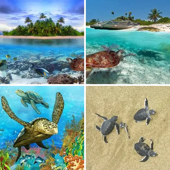 4 Images 1 Mot 6 lettres – TORTUE – niveau 598 4 images 1 mot 6 lettres : solution TORTUE