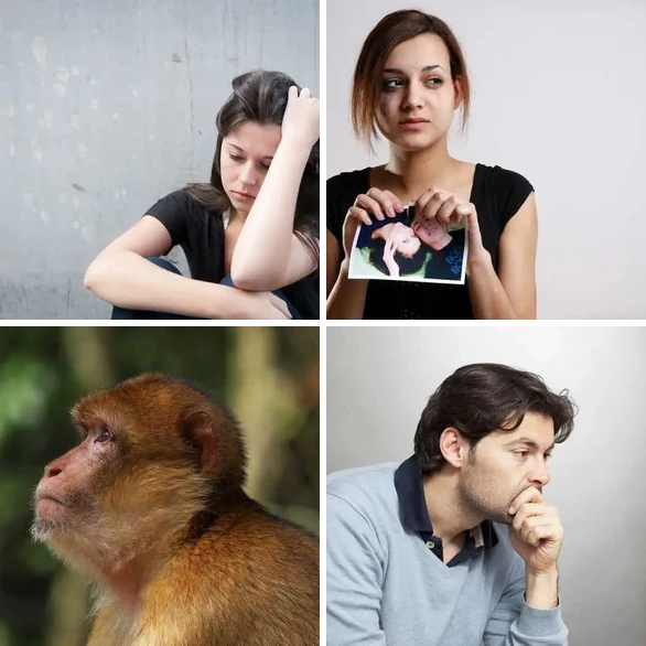 4 Images 1 Mot 6 lettres – TRISTE – niveau 42 4 images 1 mot 6 lettres : solution TRISTE