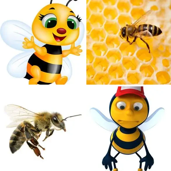 4 images 1 mot 7 lettres : solution ABEILLE