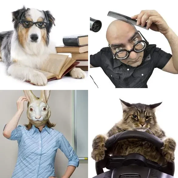4 images 1 mot 7 lettres : solution ABSURDE