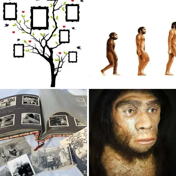 4 images 1 mot 7 lettres : solution ANCETRE