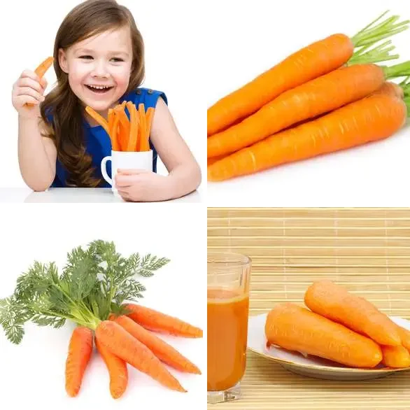 4 images 1 mot 7 lettres : solution CAROTTE