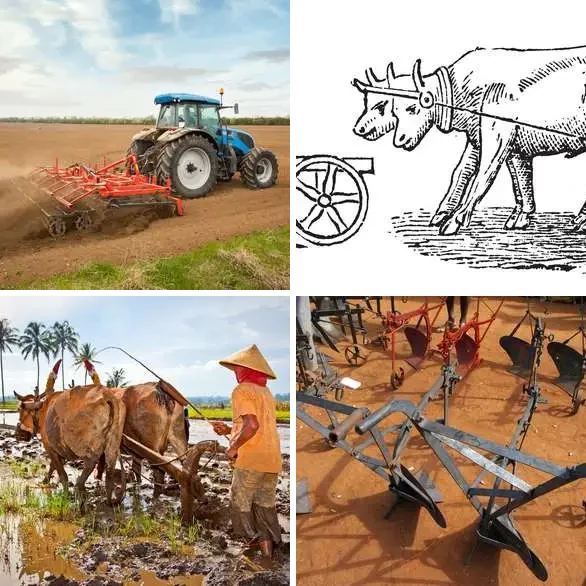 4 images 1 mot 7 lettres : solution CHARRUE