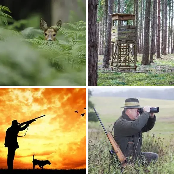 4 images 1 mot 7 lettres : solution CHASSER
