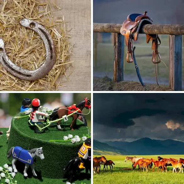 4 images 1 mot 7 lettres : solution CHEVAUX