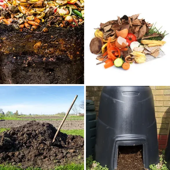 4 images 1 mot 7 lettres : solution COMPOST