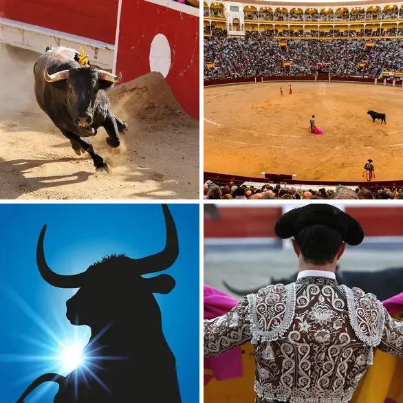 4 images 1 mot 7 lettres : solution CORRIDA