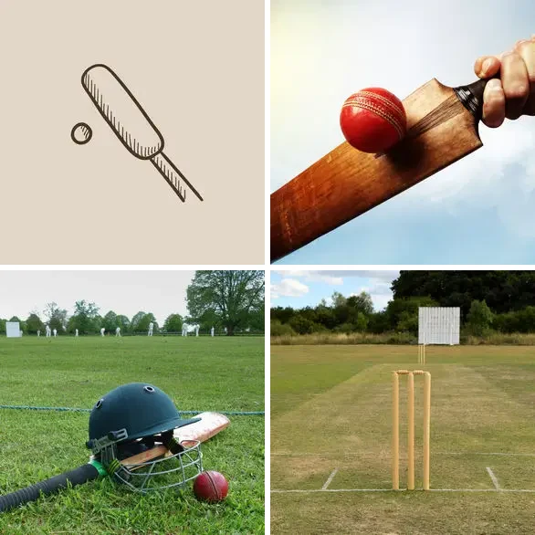4 images 1 mot 7 lettres : solution CRICKET