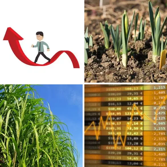4 images 1 mot 7 lettres : solution CROITRE