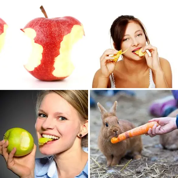 4 images 1 mot 7 lettres : solution CROQUER