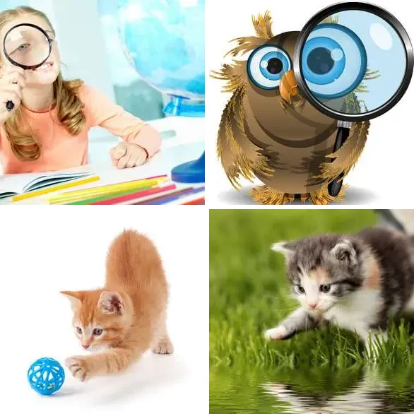 4 images 1 mot 7 lettres : solution CURIEUX