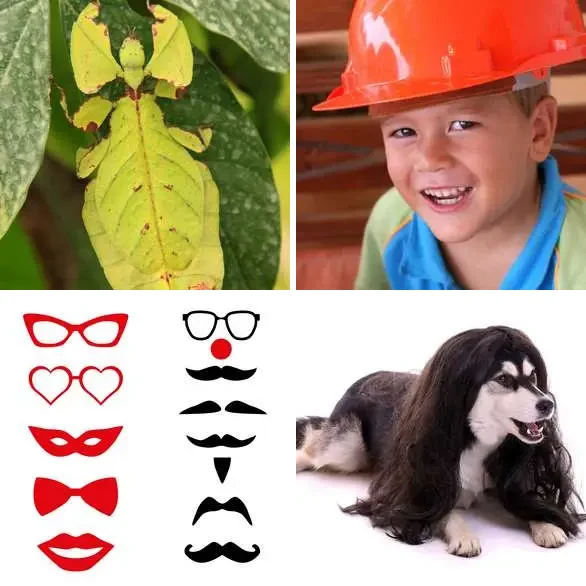 4 images 1 mot 7 lettres : solution DEGUISE