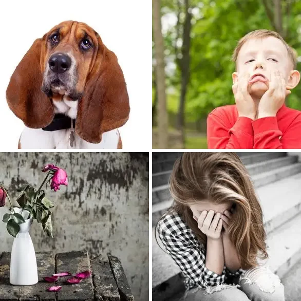 4 images 1 mot 7 lettres : solution DEPRIME